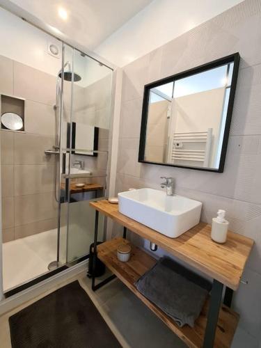 une salle de bain avec un lavabo, une douche et un miroir dans l'établissement La Petite Gloriette, à Allauch