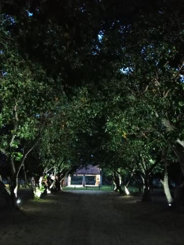 Ein Garten an der Unterkunft Casa Quinta en Pilar, Ñeembucú