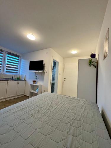 a bedroom with a large bed and a television at Studio Oaza Čačak in Čačak