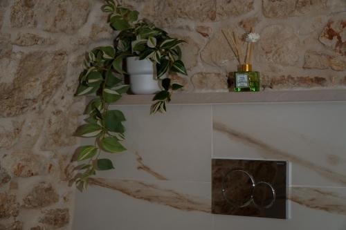 a plant sitting on top of a fireplace at Dimora di Sasso - Relax ed Eleganza nel Cuore della Puglia in Santeramo in Colle
