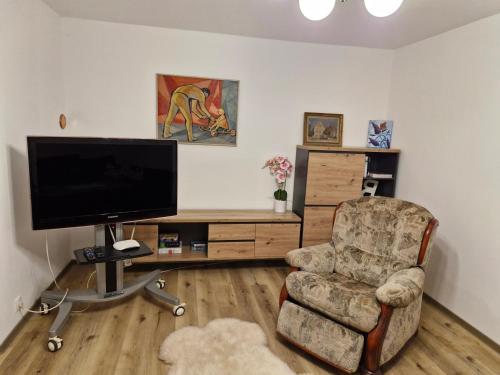 TV a/nebo společenská místnost v ubytování Lochkov 53