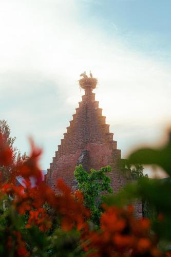 a pyramid building with red flowers in the foreground at Hotel Au Nid De Cigognes in Ostheim