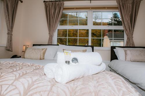 a bedroom with two beds with white blankets and a window at Seaview Guesthouse in Rostrevor