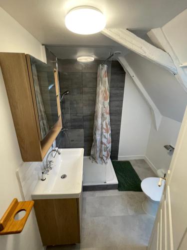 une salle de bain avec un lavabo, une douche et des toilettes dans l'établissement Maison de campagne, à Hautefage