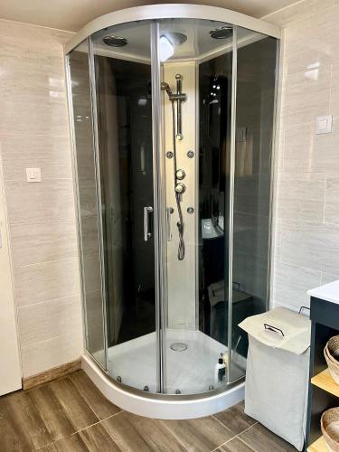 une douche avec une porte vitrée dans une salle de bain dans l'établissement Gite Les Petits Dragons, à Carnoët