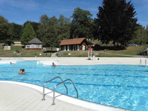 un groupe de personnes nageant dans une piscine dans l'établissement Châlet Bois 4 personnes avec extérieur privé, à Saint-Rémy-sur-Durolle