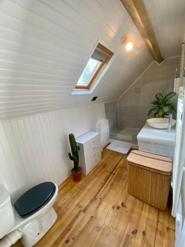 une salle de bain avec toilettes et lavabo dans l'établissement La maisonnette de Saint-Marc-Sur-Mer, à Brancieux