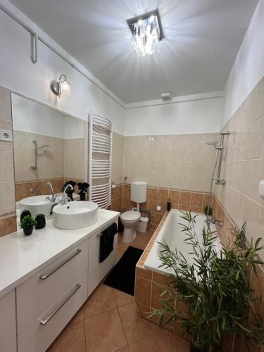 Koupelna v ubytování Picúr és Manó Apartmanja