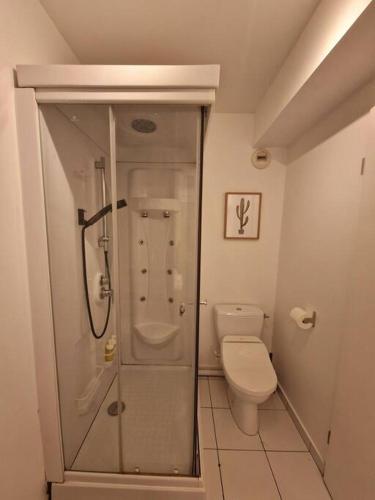 une salle de bain avec douche et toilettes dans l'établissement Charmant Studio au Cœur de Boulogne avec jardin, à Boulogne-Billancourt