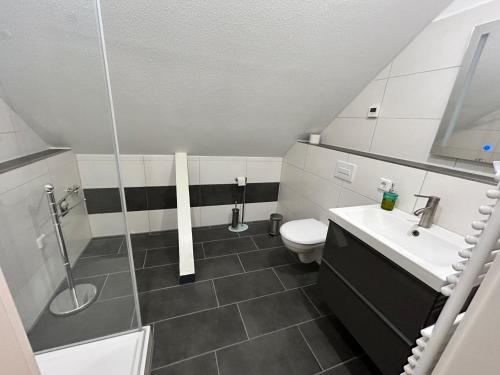Un baño con ducha, inodoro y lavabo. en Auf Feiningers Spuren durch das Mönchgut Apartment 1, en Lobbe