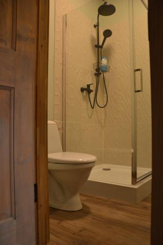 a bathroom with a toilet and a shower at Hotel Mergera in Mērsrags