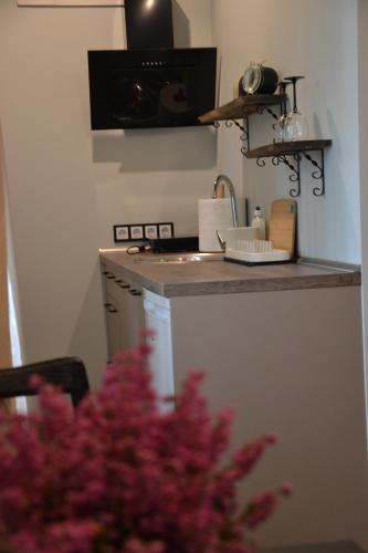 a kitchen with a counter top and a sink at Hotel Mergera in Mērsrags