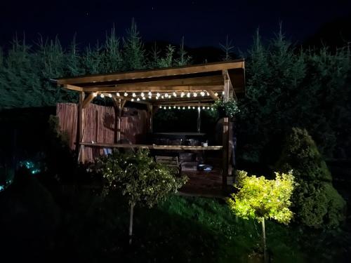 Taman di luar Willa Jagoda domek w górach