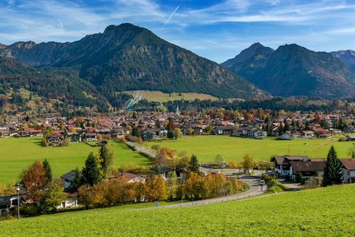 a town in a valley with mountains in the background at Haus Stein in Oberstdorf