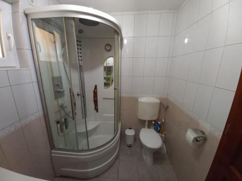 a bathroom with a shower and a toilet at Apartman Lotus in Kiseljak