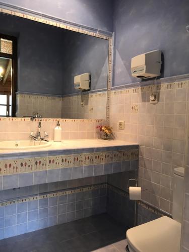 a bathroom with a sink and a toilet and a mirror at Hotel Rural Villa Elena in Panes
