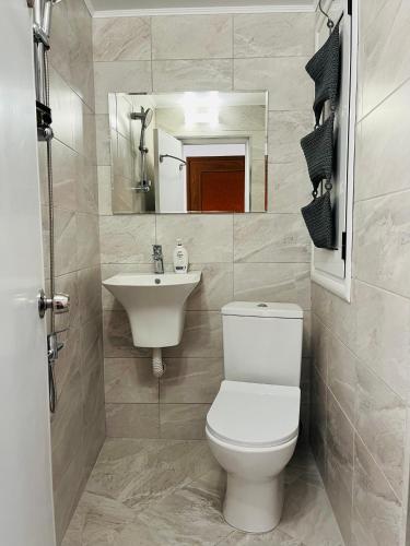 a bathroom with a toilet and a sink at Dido House Panoramic -Eurovision Fans Hub 2027 in Veliko Tŭrnovo