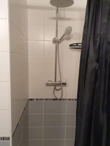 La salle de bains est pourvue d'une douche avec rideau de douche. dans l'établissement Studio centre de Sedan, à Sedan
