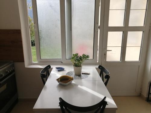 a white table with chairs and a plant on it at Apartments Željka-Dobrota in Kotor