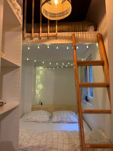 - un lit superposé avec une échelle dans une chambre dans l'établissement Gustave charmant appartement en cœur de ville à 20 mètres de la mer, à Les Sables-dʼOlonne