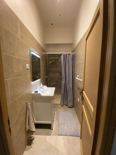 une salle de bain avec un lavabo et une douche dans l'établissement Maison de ville impériale, à Compiègne