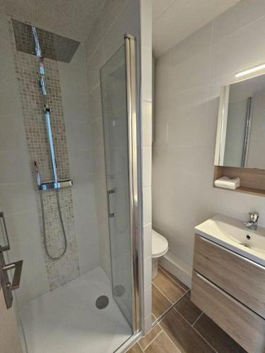 une salle de bain avec une douche, des toilettes et un lavabo dans l'établissement Appartement 4 pers vue mer le barcares, à Dosse Gros