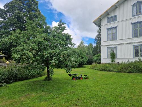 a tree in the yard next to a house at Myskje Gård in Myssje