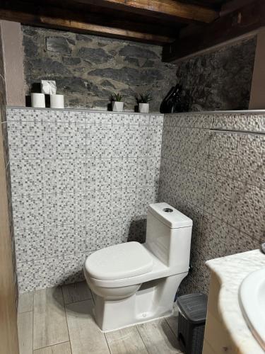 a bathroom with a toilet and a sink at Victoria Tiny Stone House in Ponta do Pargo