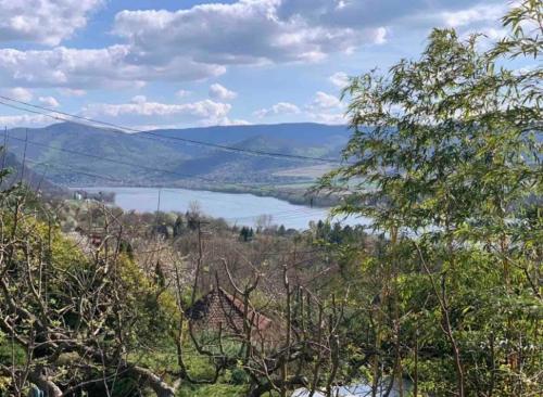 a view of a lake from the hills at Mediterrán Vendégház in Zebegény