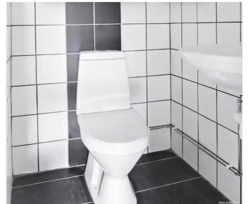 Ein Badezimmer in der Unterkunft fågel