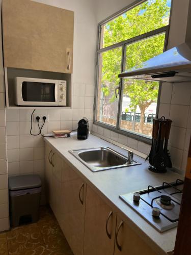 a kitchen with a sink and a microwave at Almendra B Vitalba Apartments in Lanjarón