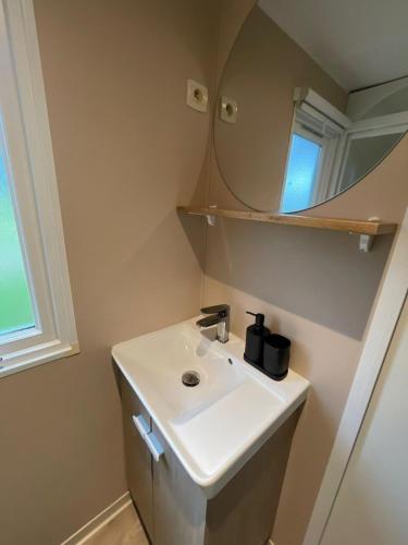 une salle de bain avec un lavabo et un miroir dans l'établissement Escale Cœur De Vendée, à La Boissière-de-Montaigu