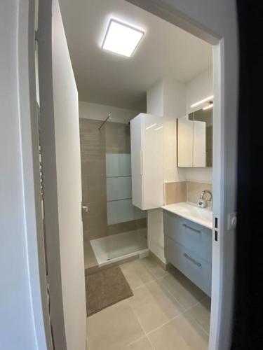 La petite salle de bains est pourvue d'une douche et d'un lavabo. dans l'établissement Apt lumineux à 10 min de Paris, au Kremlin-Bicêtre
