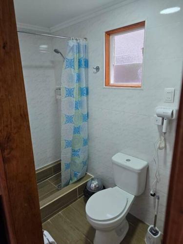 a bathroom with a toilet and a shower at La Verdecita in Punta Arenas