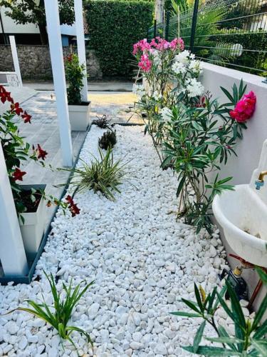 a garden with rocks and flowers on a patio at Maison Jula Confort, Relax e Libertà, Cinquale in Cinquale
