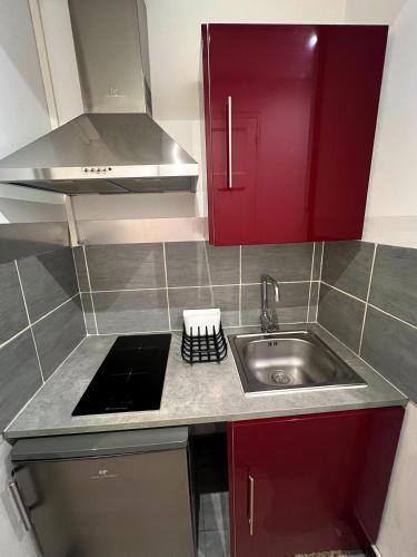 une cuisine avec des armoires rouges et un évier dans l'établissement L'Horacien Plein Cœur de Marseille, à Marseille