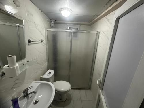 KarabükSafranbolu apartments的带淋浴、马桶和水槽的浴室