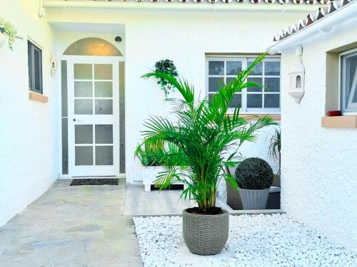 Villa CasaCara Marbella beachside Costabella -Spain photo 86