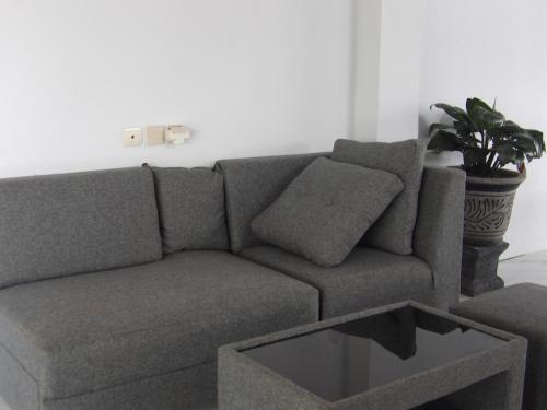 a gray couch in a living room with a potted plant at Geyu House in Jembrana