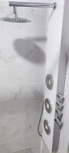 a shower with a glass door in a bathroom at The Whale Beach House in Atouguia da Baleia