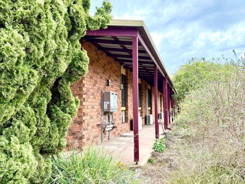 Κήπος έξω από το Redgum Motel