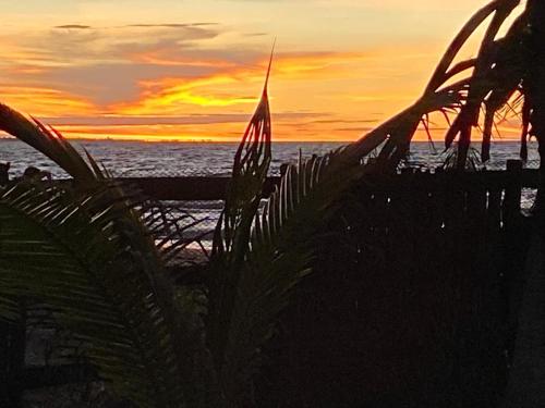 a sunset over the ocean with a palm tree at Zéfiro Hostal in San Bernardo del Viento