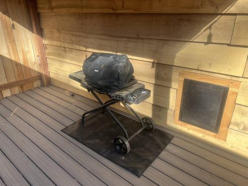 Fotografie z fotogalerie ubytování Tiny Cozy Cabin in Historic Upper Canyon v destinaci Ponderosa Heights