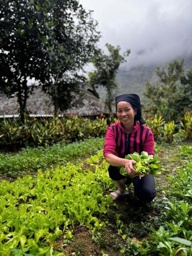 a woman squatting in a field holding lettuce at Cheers Du Gia Homestay - Ha Giang Loop Cheers Tours in Làng Cac