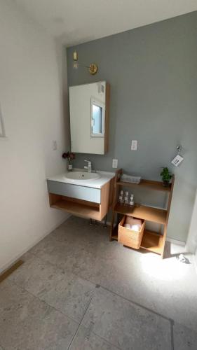a bathroom with a sink and a mirror at HiL town yamanashi 12 MSDG in Kofu