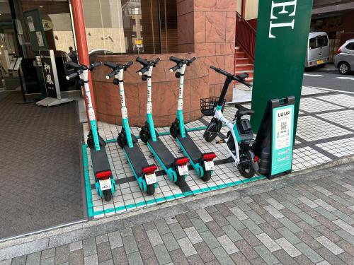 Jízda na kole v ubytování Belmont Hotel nebo okolí