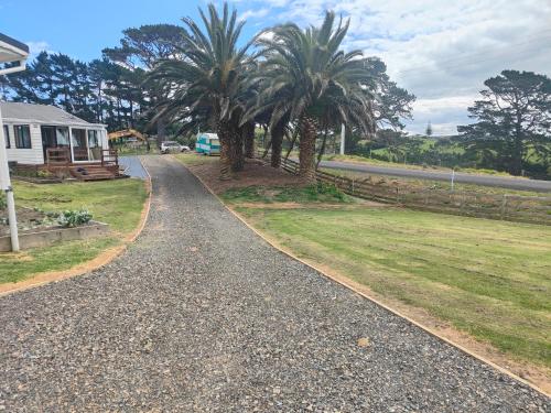 a gravel driveway with palm trees and a house at Apartment 2 in Auckland