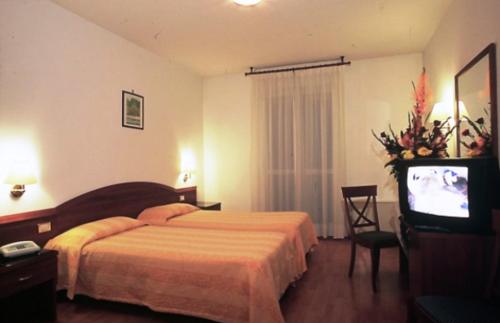 ストラにあるHotel Park Veneziaのベッドとテレビが備わるホテルルームです。