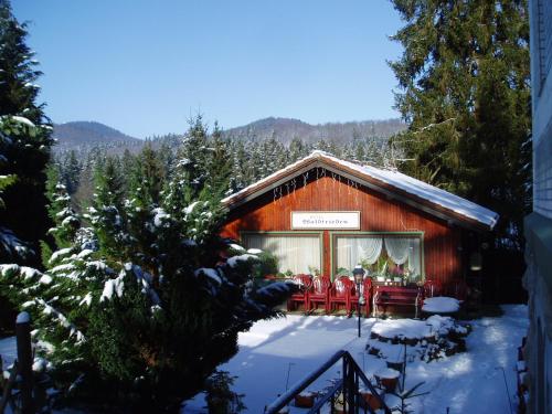 Afbeelding uit fotogalerij van Ferienhotel Waldfrieden in Bad Sachsa