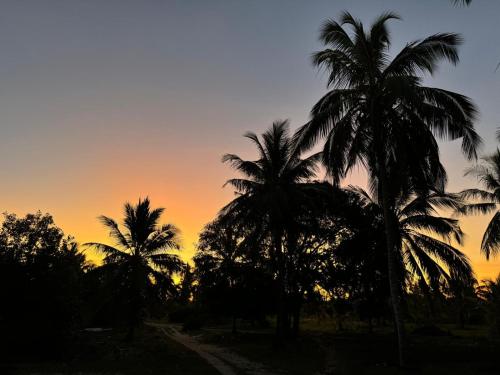 a group of palm trees in front of a sunset at Coconut Mafia Island Bungalows in Utende